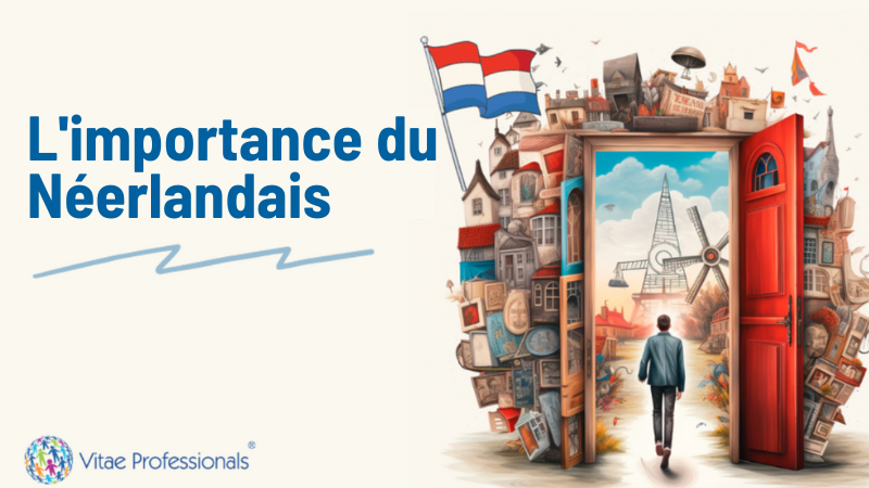 lImportance-du-neerlandais-vitae-professionals